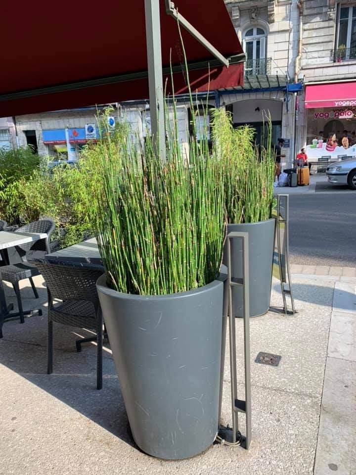 Flagrants Délices — photo 2