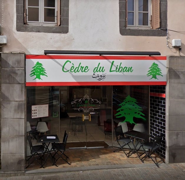 Cèdre du Liban — photo 3