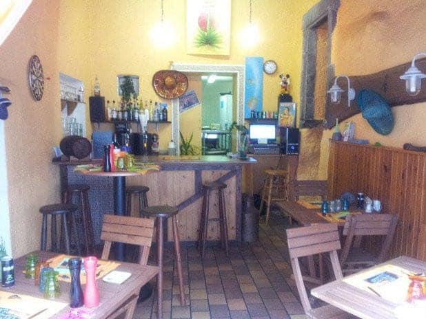L agave — photo 2