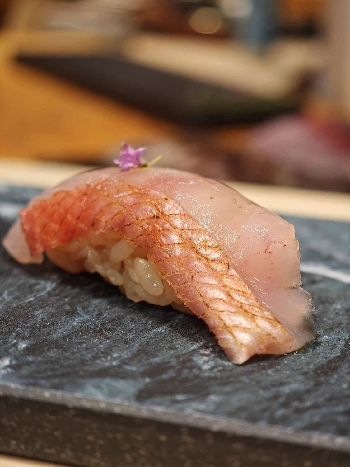 Sushi'gnat — photo 2
