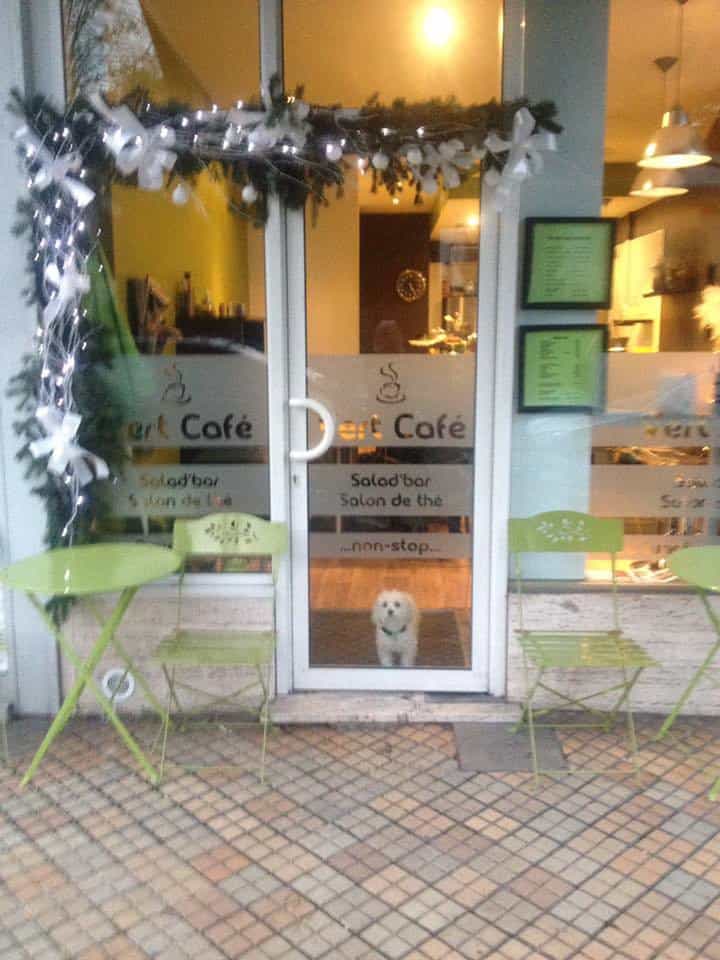 Vert Café — photo 2