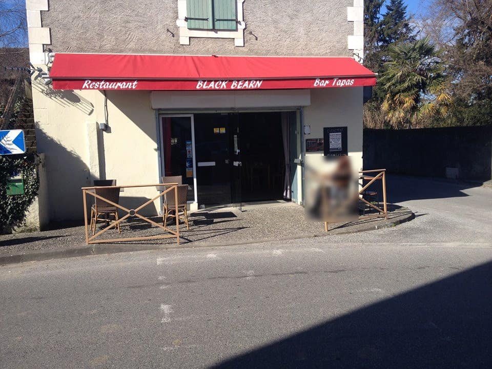 Black bearn — photo 2