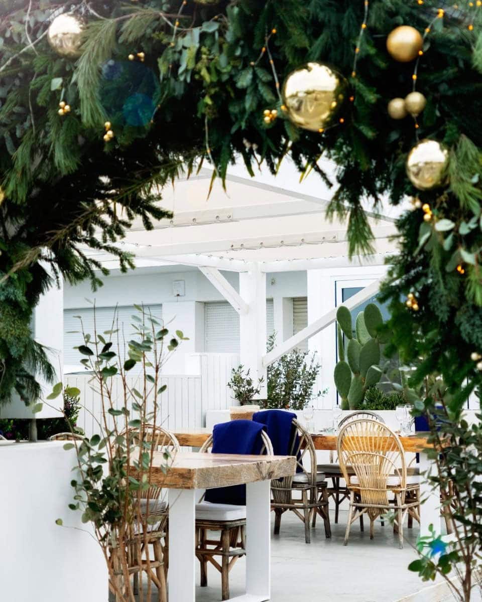 Le Jardin de la Paillote Bleue — photo 2