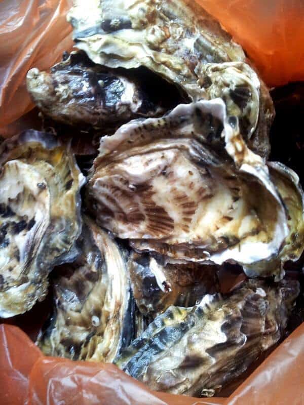 Le Parc à Huîtres — Poissons et fruits de mer à Hendaye — photo 2