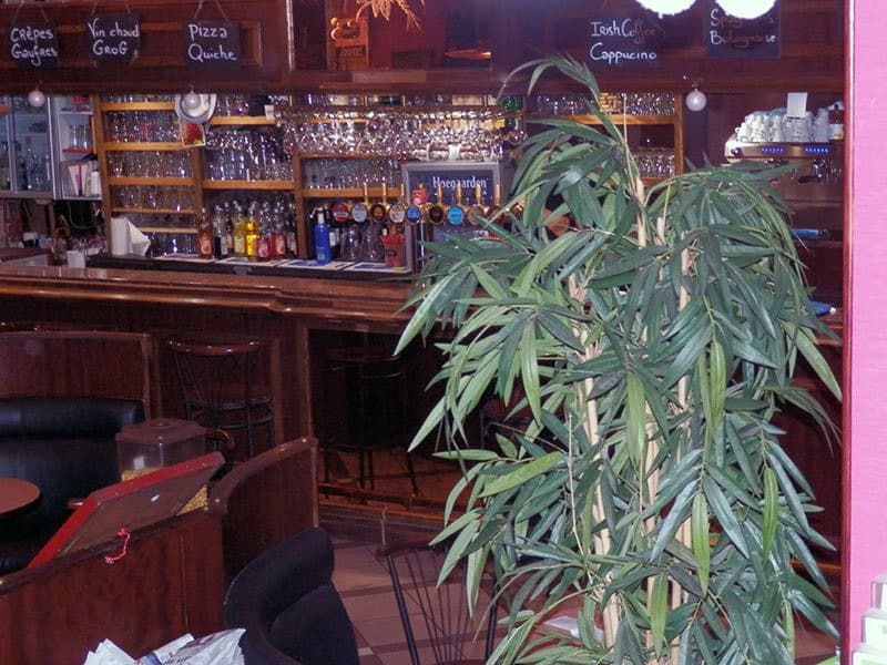 Les Fleurs — photo 3