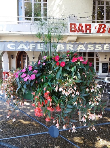 Bar des Autobus — photo 3