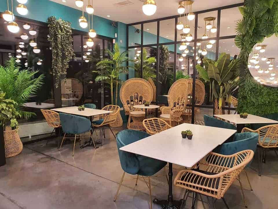 El Coco Rico — photo 3