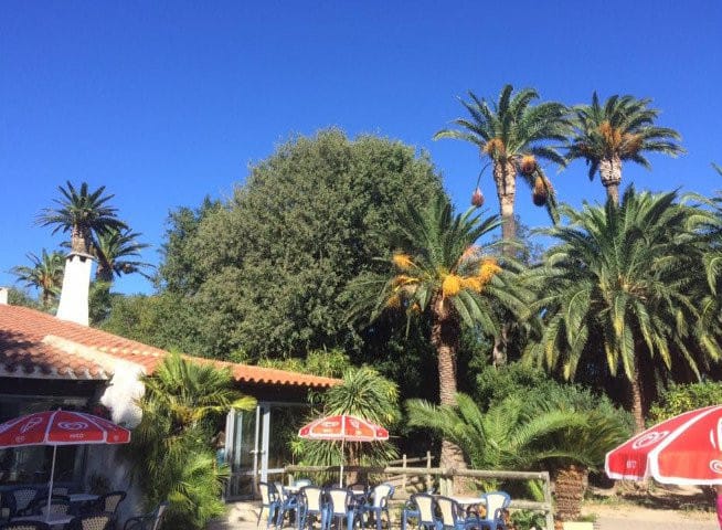 Le Domaine du Mas Blanc — photo 2