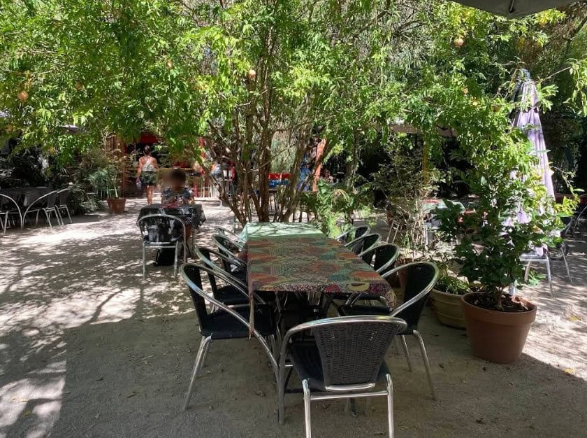 Le Jardin — photo 3