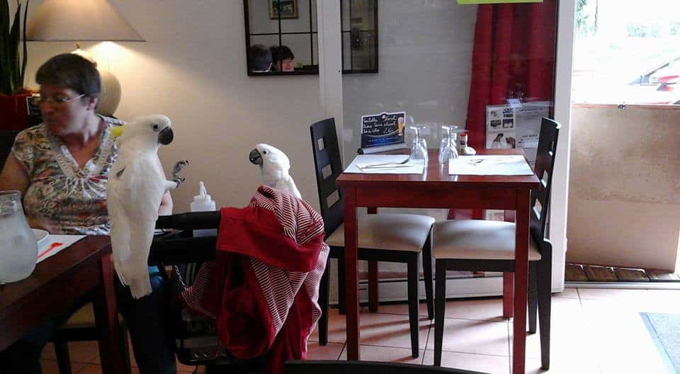Restaurant L'etoile — photo 3