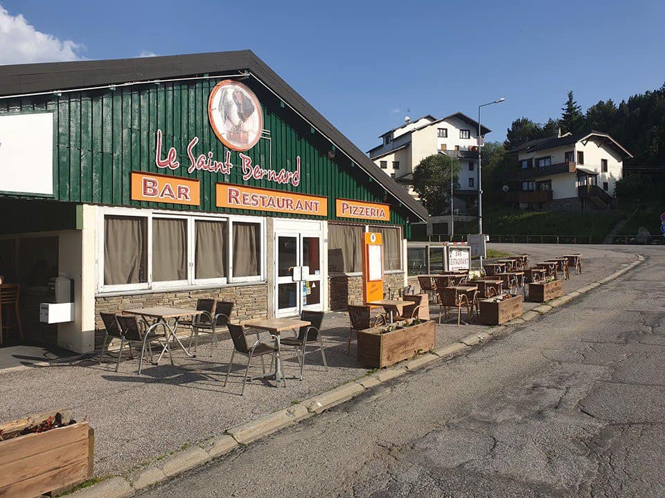 Le Saint bernard — photo 2