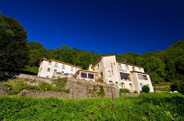 Ribes — photo 2