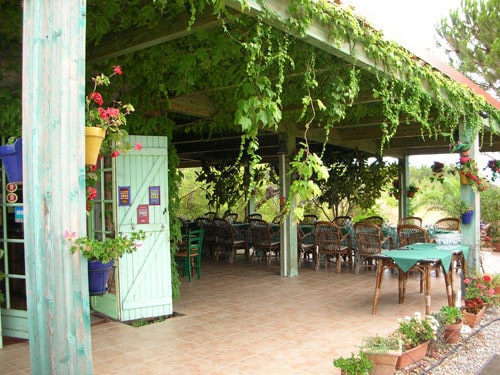 Auberge du Domaine de Nidolères — Auberge à Banyuls Dels Aspres — photo 2