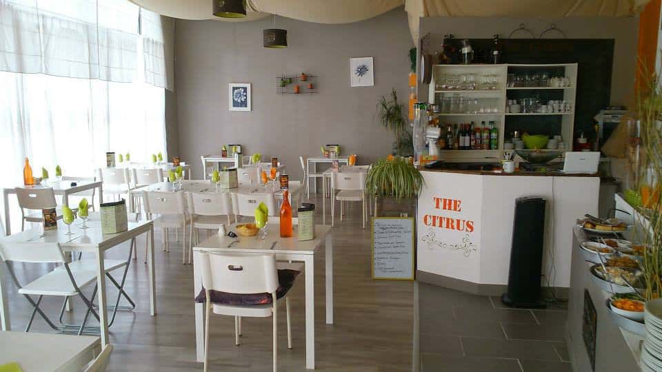 The Citrus — photo 3