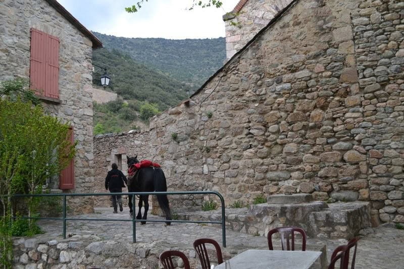 Le Canigou — photo 3