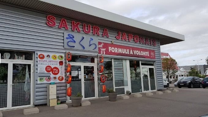 Le sakura japonais — photo 2
