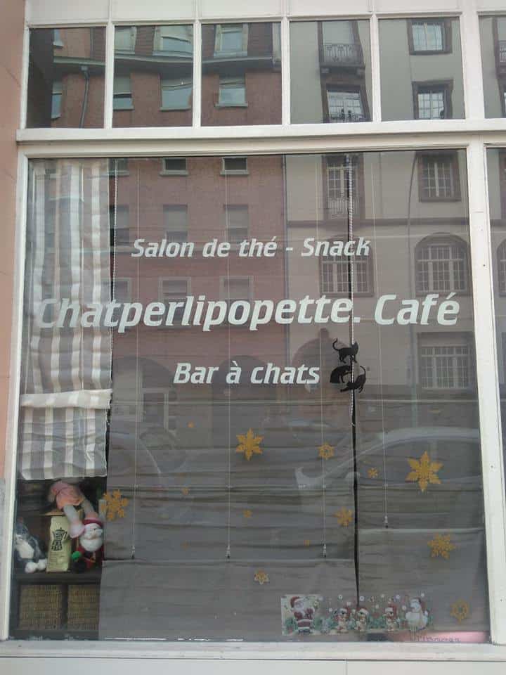 Chatperlipopette — photo 2