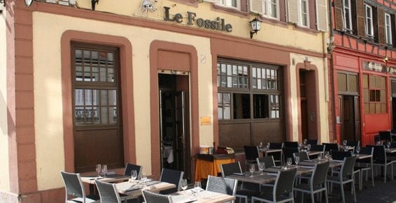 Le Fossile — photo 2