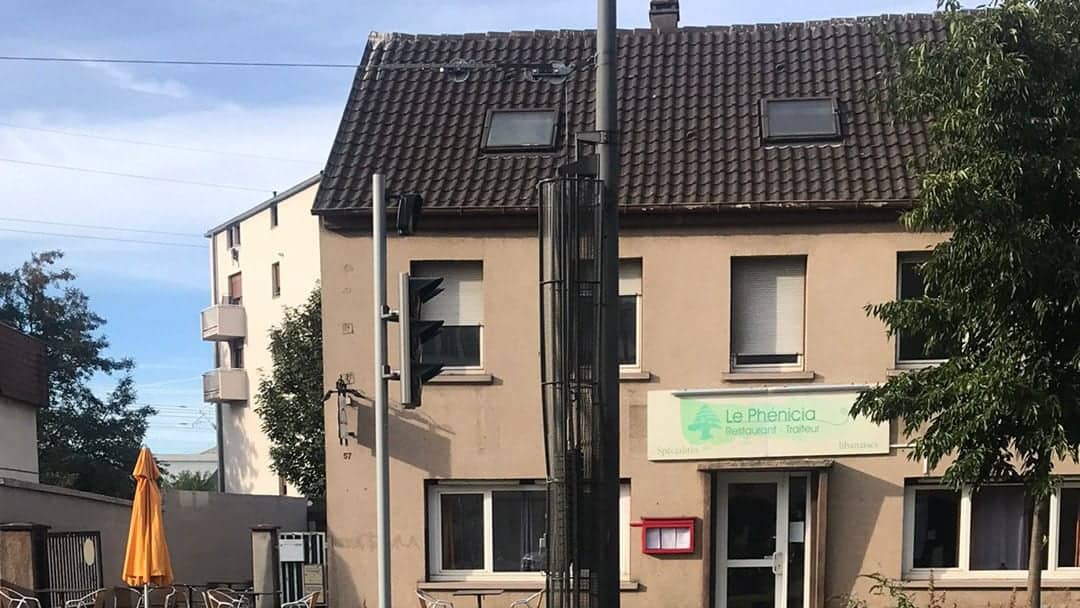 Le phénicia — photo 2