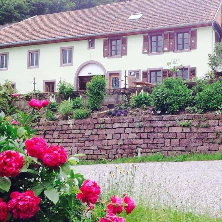 Auberge au col de fouchy — Auberge à Breitenau — photo 2