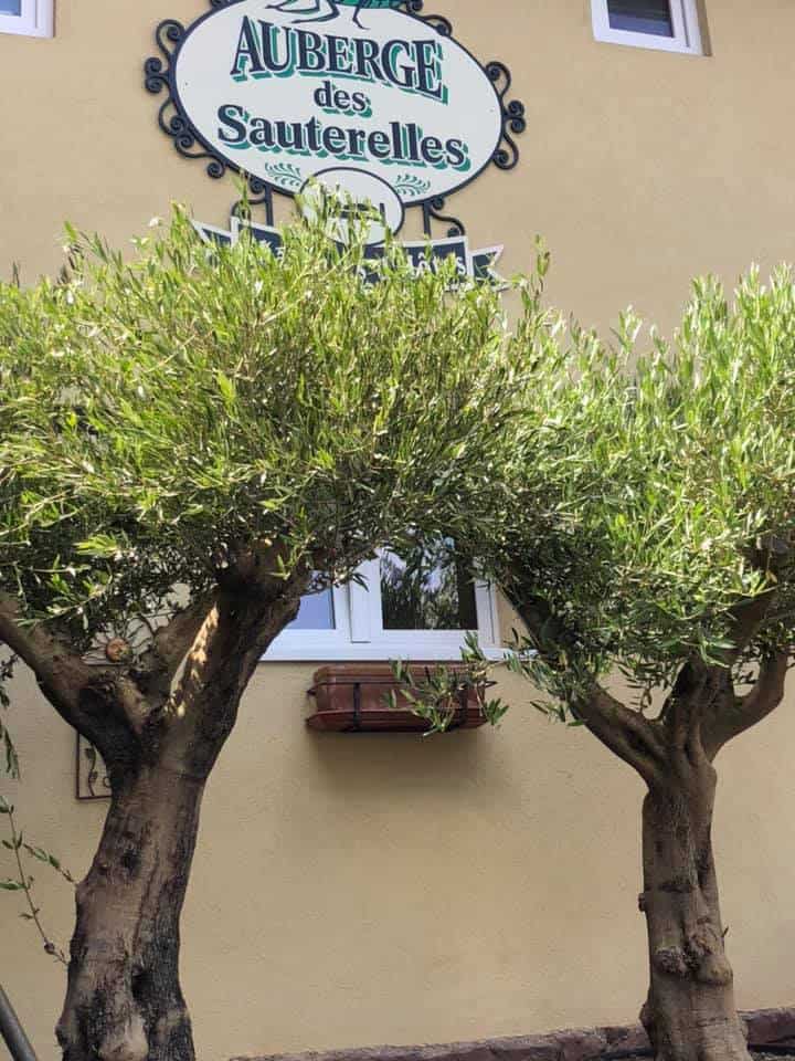 Auberge des Sauterelles — photo 3