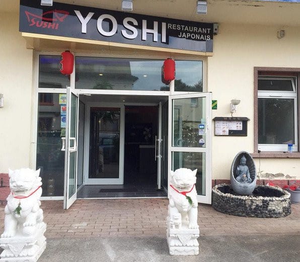 Yoshi — photo 2