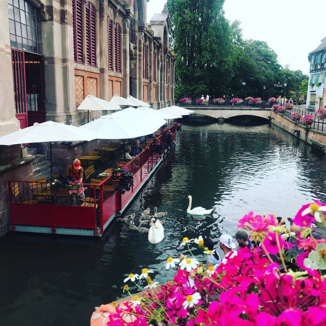La Terrasse du Marché — photo 2