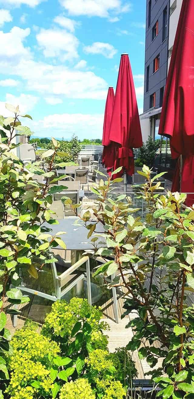Brasserie K — photo 2