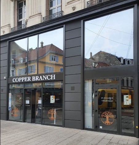 Copper Branch — photo 3