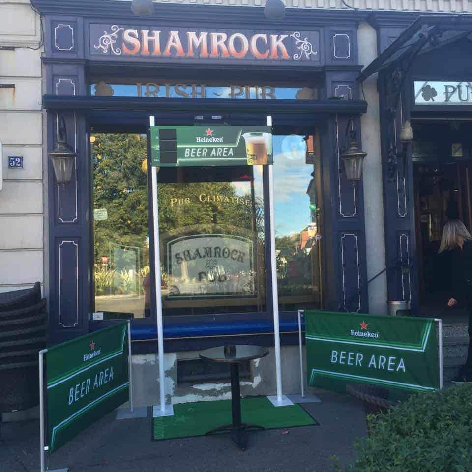 Shamrock — photo 3
