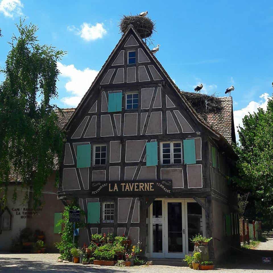 La Taverne — photo 2