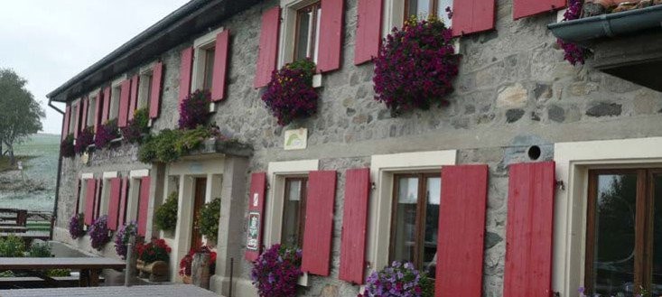Ferme auberge du Grand Ballon — Auberge à Willer sur Thur — photo 2