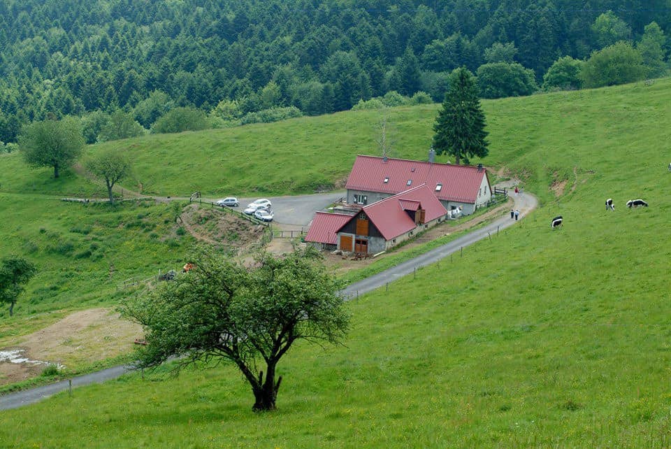 Ferme auberge du Kohlschlag — photo 3
