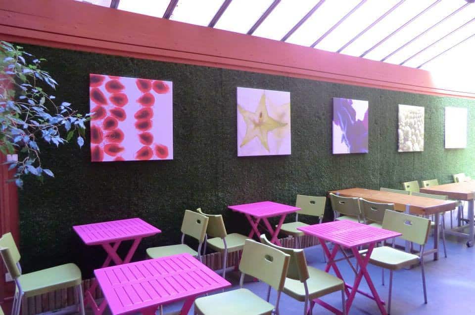 In Cuisine — photo 2
