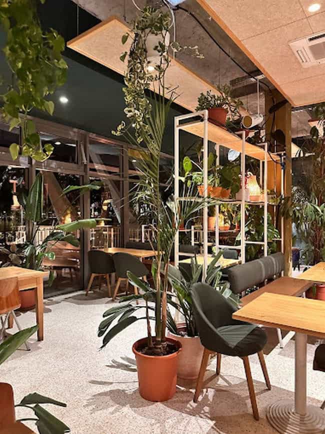 Botani — photo 3