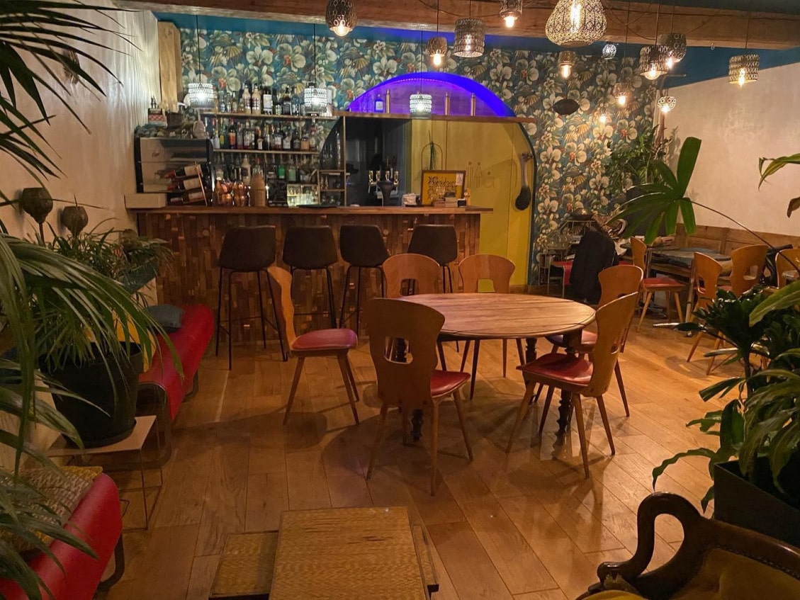 Jungle — photo 3