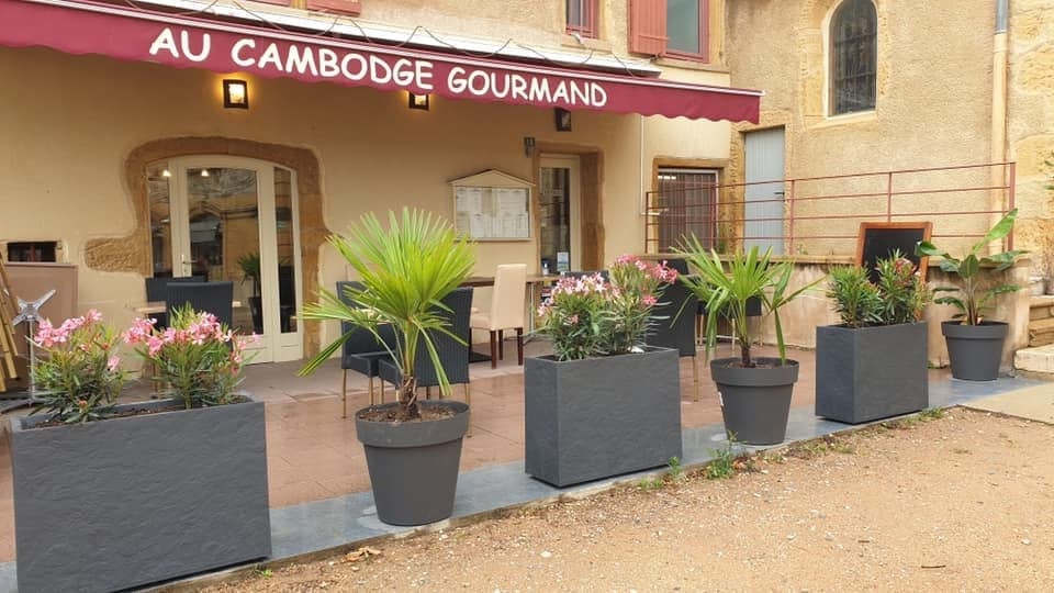 Au cambodge gourmand — Restaurant Cambodgien à Fleurieux sur l'Arbresle — photo 3