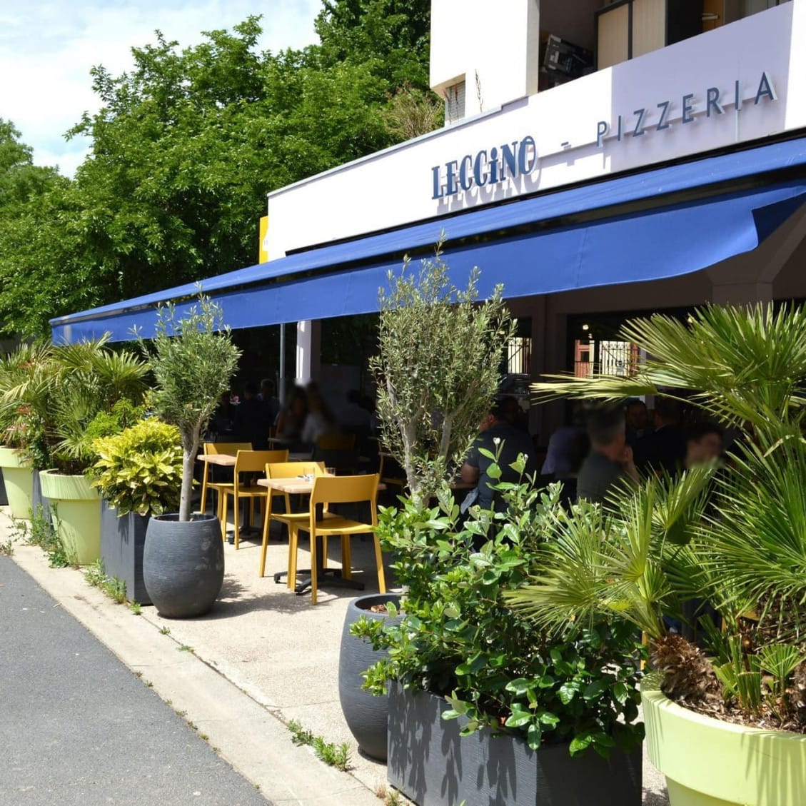 Leccino — photo 2