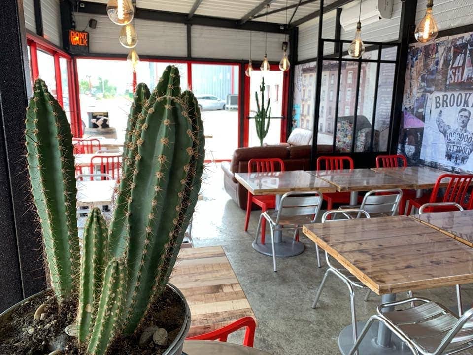 Nova Deli — photo 3