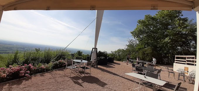 Les Hauts de Chenas — photo 3