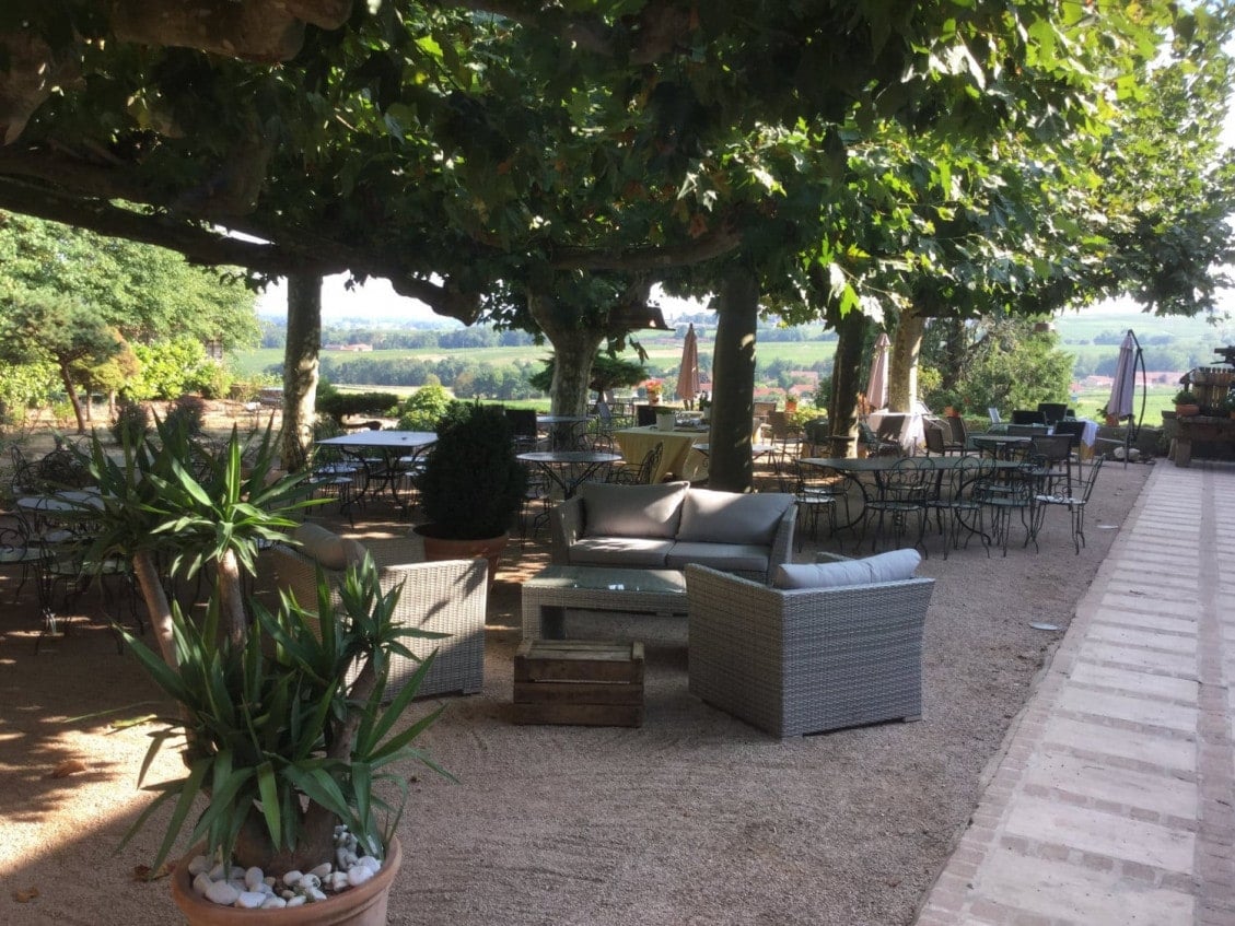 Les Platanes de Chénas — photo 3