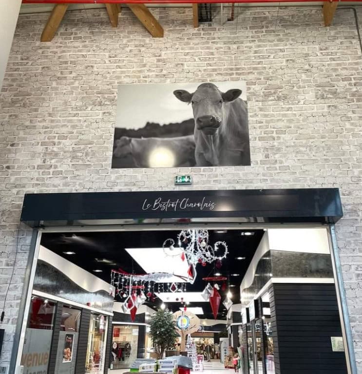 Le bistrot Charolais — photo 2