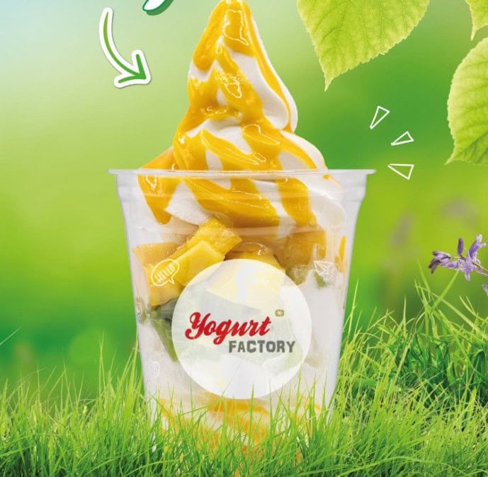 Yogurt Factory — photo 2