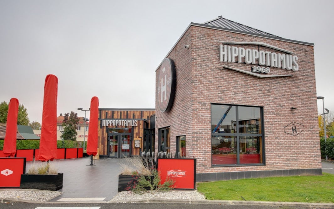 Hippopotamus — photo 2