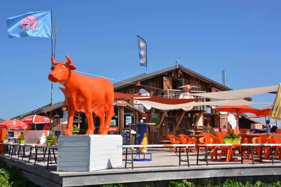 La Vache Orange — photo 3