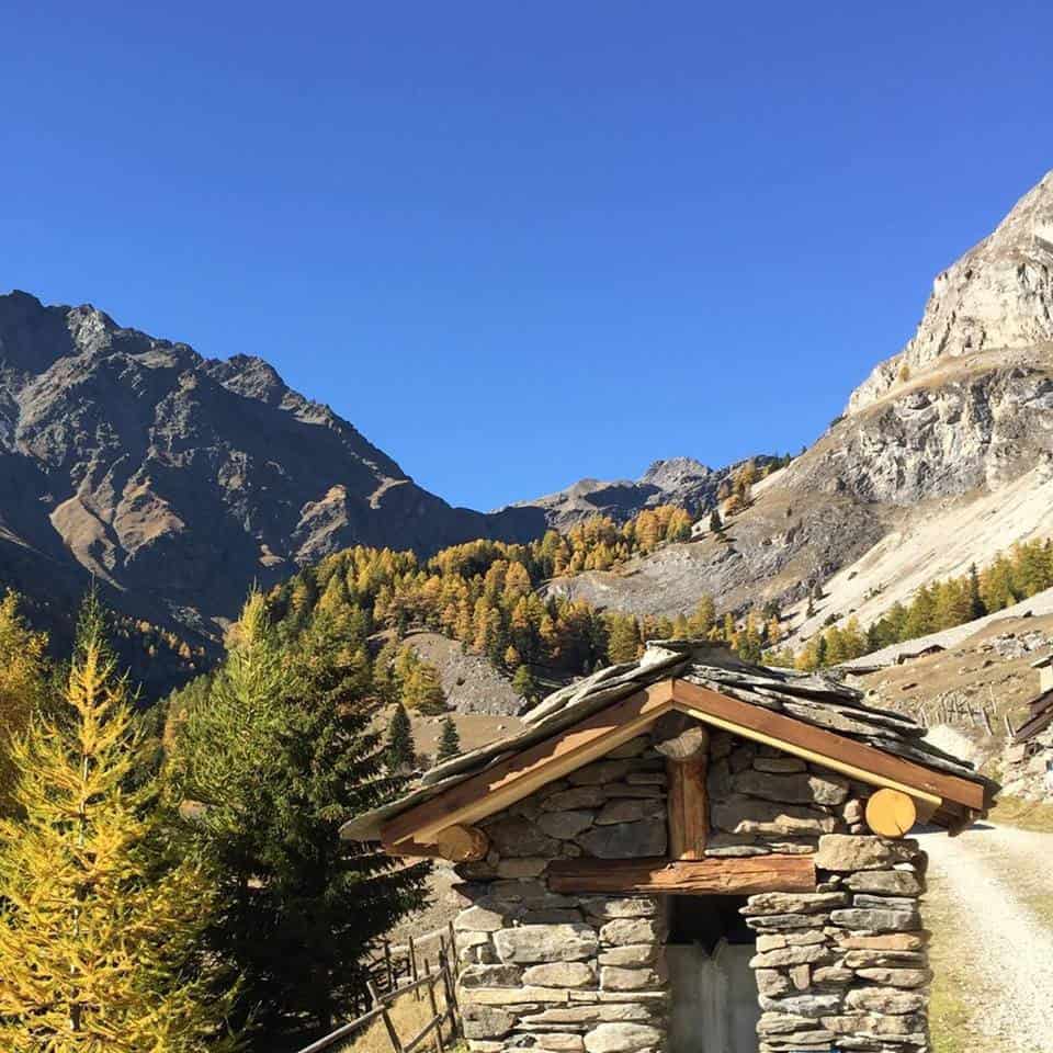 L'Estiva — photo 3