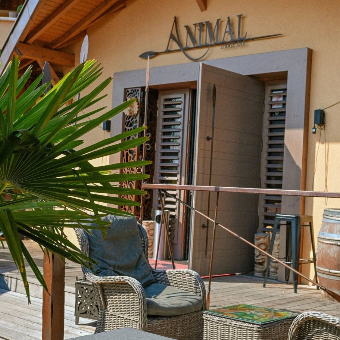 Animal Lodge — photo 3