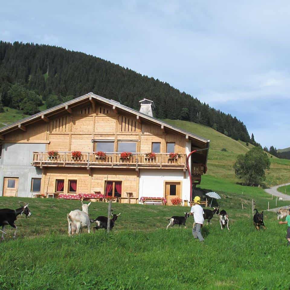 La Croix du Planay — photo 2