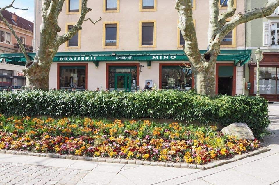 Brasserie Mino — photo 2
