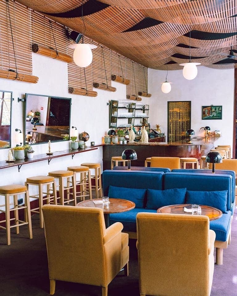 Bambou — photo 3